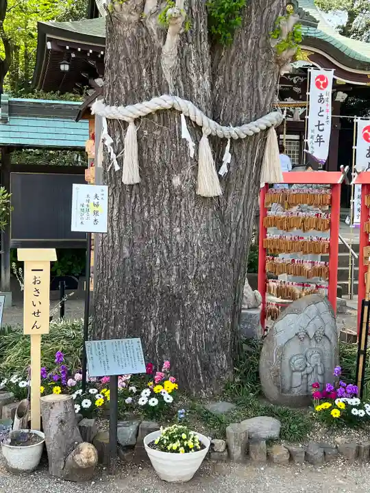 川越八幡宮(埼玉県)