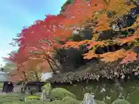 知恩院(京都府)