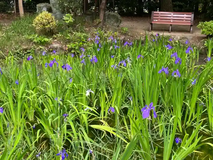 無量寿寺(愛知県)