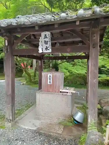 今熊野観音寺(京都府)
