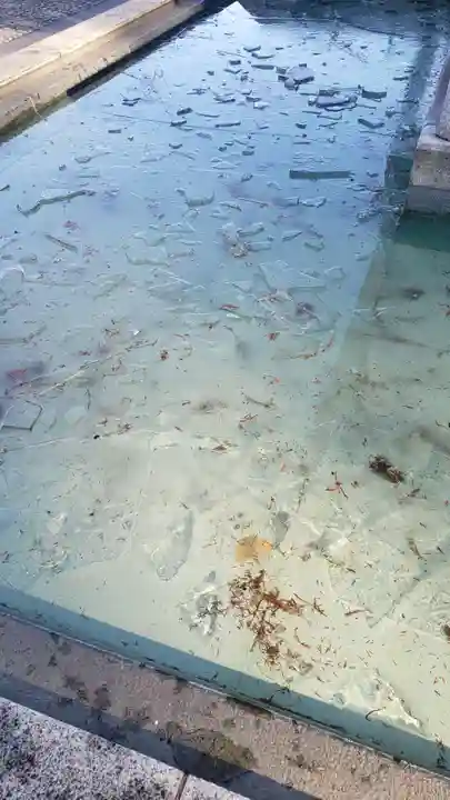 高幡不動尊 金剛寺(東京都)