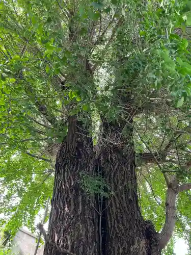 堤治神社(愛知県)