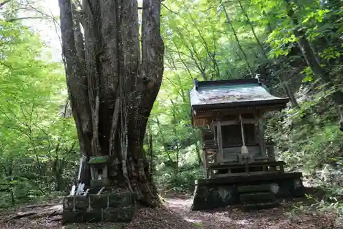 剣桂神社の景色