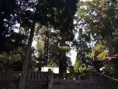 水主神社の建物その他