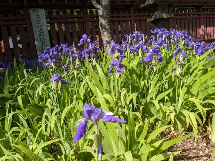 志波彦神社・鹽竈神社(宮城県)