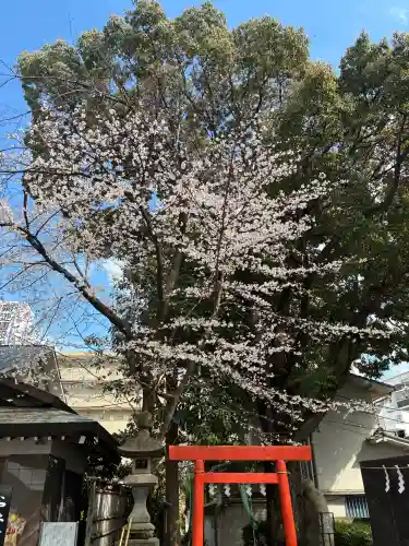 田無神社の{uncategorized: "未分類", other: "その他", undefined: "問題あり", building: "その他建物", grave: "お墓", sacred_gate: "鳥居", guardian: "狛犬", statue: "像", buddha: "仏像", history: "歴史", nature: "自然", garden: "庭園", animal: "動物", pagoda: "塔", temizu: "手水舎", mountain_gate: "山門・神門", sanctuary: "本殿・本堂", subordinate: "末社・摂社", art: "芸術", scenery: "景色", jizo: "地蔵", ema: "絵馬", goshuin: "御朱印", omikuji: "おみくじ", items: "授与品その他", amulet: "お守り", goshuincho: "御朱印帳", eats: "食事", festival: "お祭り", votive_dance: "神楽", shichigosan: "七五三参", wedding: "結婚式", experience: "体験その他", initially: "初詣", around: "周辺", anti_infection: "感染症対策"}