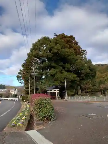 助宗大井神社の鳥居