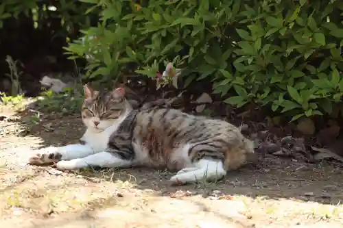 玉野御嶽神社(愛知県)
