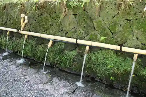 富士山本宮浅間大社の手水