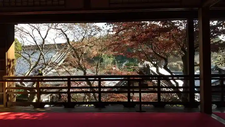 柳谷観音 楊谷寺の景色