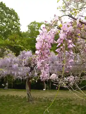 和氣神社(和気神社)の自然