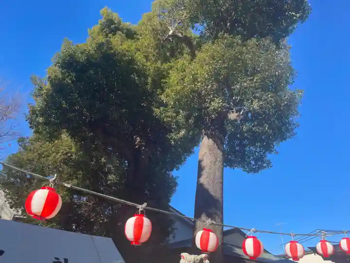 相模原氷川神社のその他建物