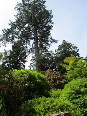三室戸寺(京都府)