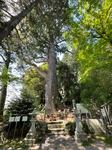 飛龍八幡宮(山口県)