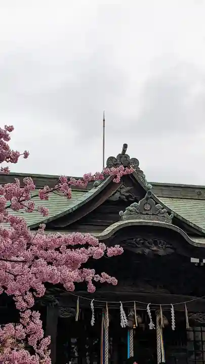 桜神宮(東京都)