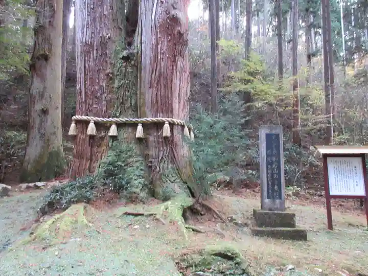 御岩神社の自然