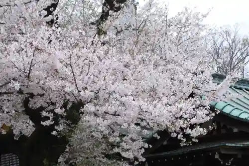 喜多院の{uncategorized: "未分類", other: "その他", undefined: "問題あり", building: "その他建物", grave: "お墓", sacred_gate: "鳥居", guardian: "狛犬", statue: "像", buddha: "仏像", history: "歴史", nature: "自然", garden: "庭園", animal: "動物", pagoda: "塔", temizu: "手水舎", mountain_gate: "山門・神門", sanctuary: "本殿・本堂", subordinate: "末社・摂社", art: "芸術", scenery: "景色", jizo: "地蔵", ema: "絵馬", goshuin: "御朱印", omikuji: "おみくじ", items: "授与品その他", amulet: "お守り", goshuincho: "御朱印帳", eats: "食事", festival: "お祭り", votive_dance: "神楽", shichigosan: "七五三参", wedding: "結婚式", experience: "体験その他", initially: "初詣", around: "周辺", anti_infection: "感染症対策"}