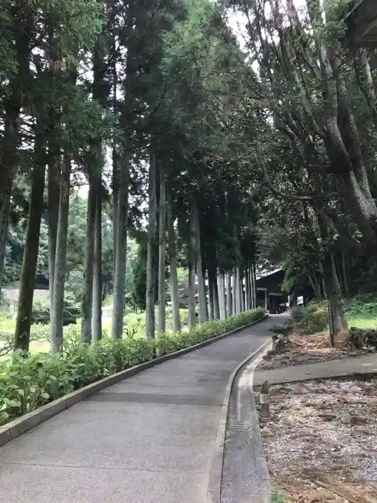 臼杵石仏(大分県)