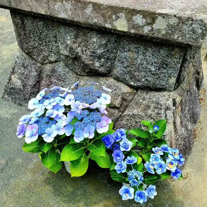 稲荷神社(愛知県)