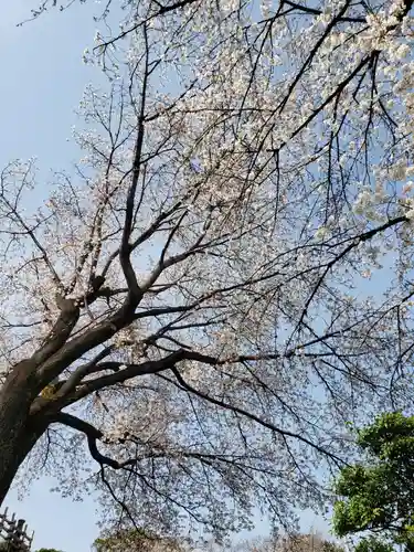 東光寺(東京都)