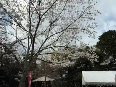熊野若王子神社の自然