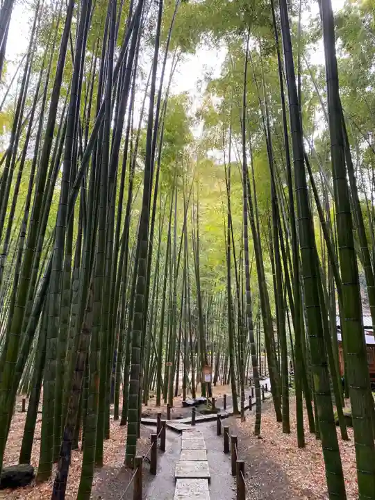 報国寺のその他建物