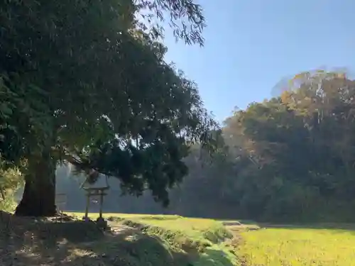 妙見神社の鳥居