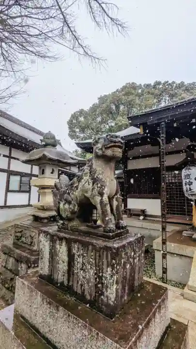登渡神社の狛犬