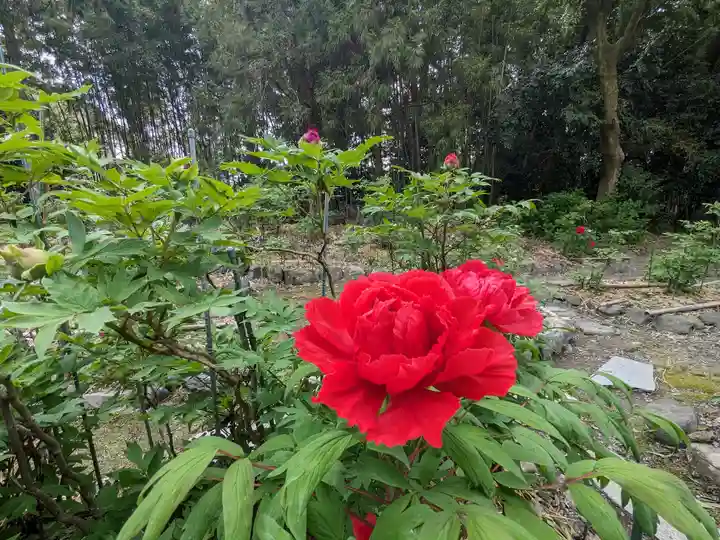 総持寺(滋賀県)