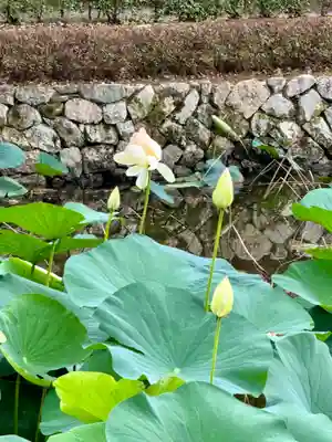 東福禅寺(東福寺)(京都府)