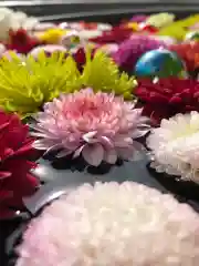 鹿島台神社の手水