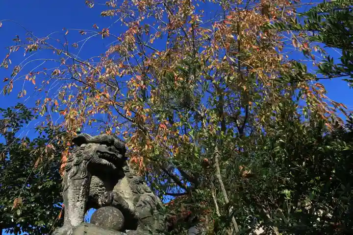 豊景神社の狛犬