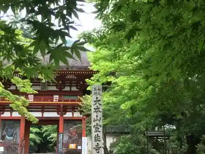 室生寺の山門・神門