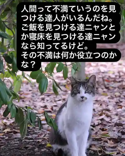 専念寺(大阪府)