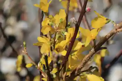熊野福藏神社の手水舎
