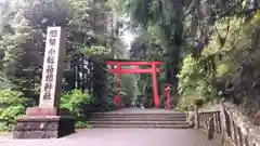 箱根神社の鳥居