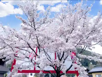 瀧宮神社(広島県)