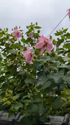 如願寺(大阪府)