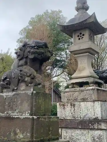 佐間天神社の狛犬