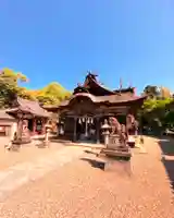 柏原八幡宮の本殿・本堂