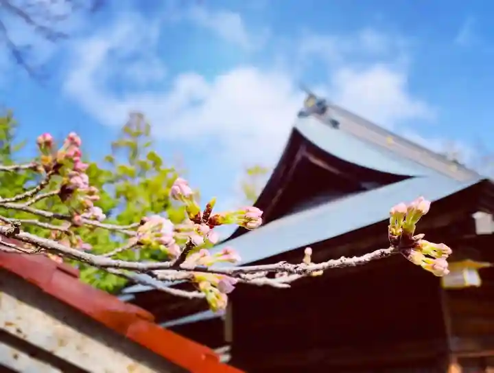 滑川神社 - 仕事と子どもの守り神の自然
