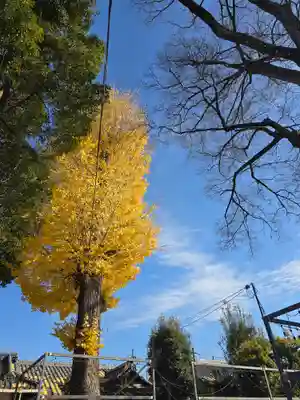 縣神社(京都府)