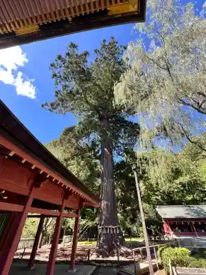 志波彦神社・鹽竈神社(宮城県)