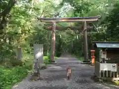 戸隠神社奥社の鳥居