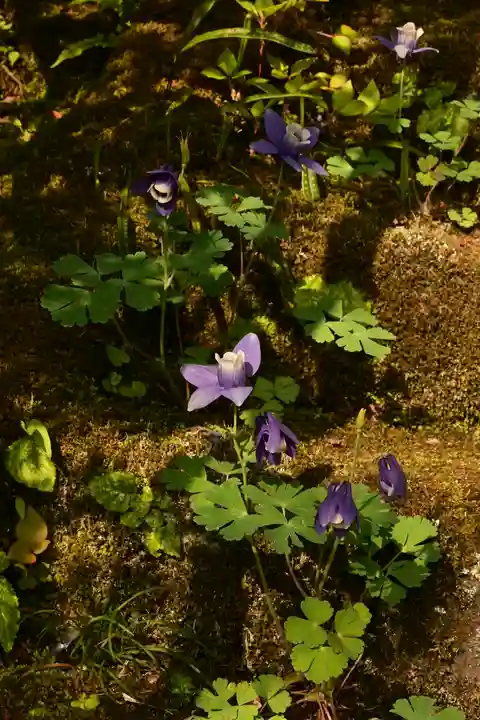 秩父札所三十二番 法性寺(埼玉県)