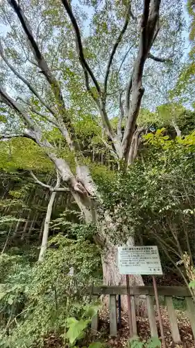 函館八幡宮(北海道)