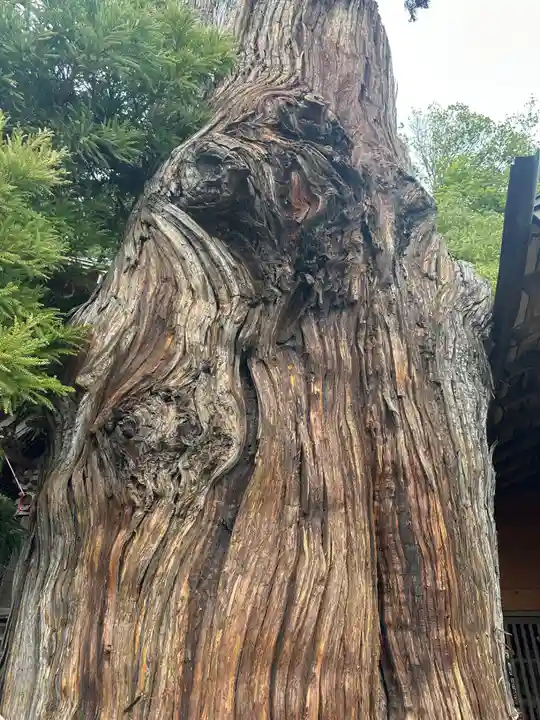 勝山八幡神社(山梨県)