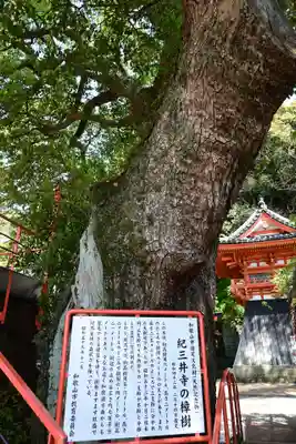 金剛宝寺（紀三井寺）(和歌山県)