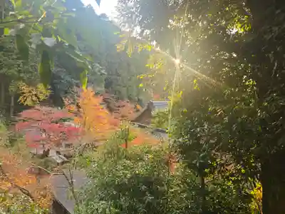 宗鏡寺(兵庫県)