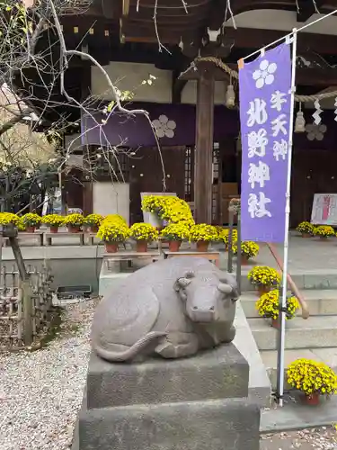 牛天神北野神社の狛犬